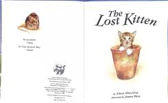 The Lost Kitten