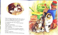 The Lost Kitten