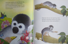 The Monkey Who Wanted the Moon