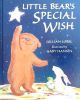Little bear special wish