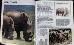 Rhinos
