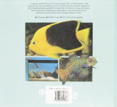 A Practical Guide to Tropical Aquarium Fish