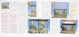 A Practical Guide to Tropical Aquarium Fish