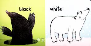 Go wild with COLOURS