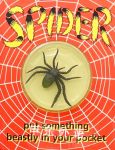 Spider in your pocket Stella Williams Nathan
