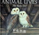 Animal Lives The Barn Owl Sally Tagholm