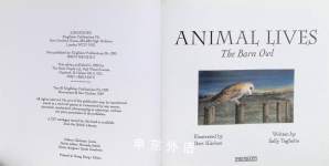 Animal Lives The Barn Owl