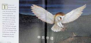 Animal Lives The Barn Owl