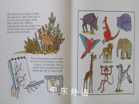 How to Draw Wild Animals