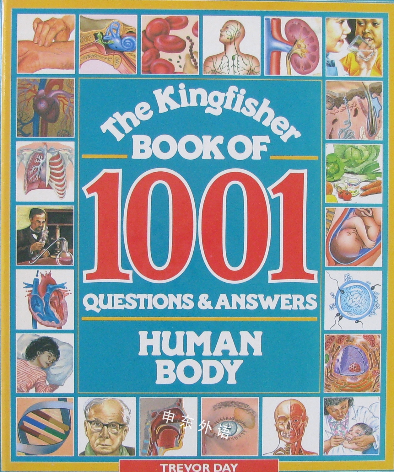 kingfisher-book-of-1001-questions-and-answers-human-body