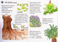 Plants