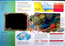 Our Mysterious Ocean