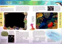 Our Mysterious Ocean