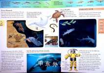 Our Mysterious Ocean