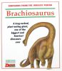 Dinosaurs from