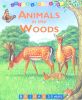 Animals in the woods