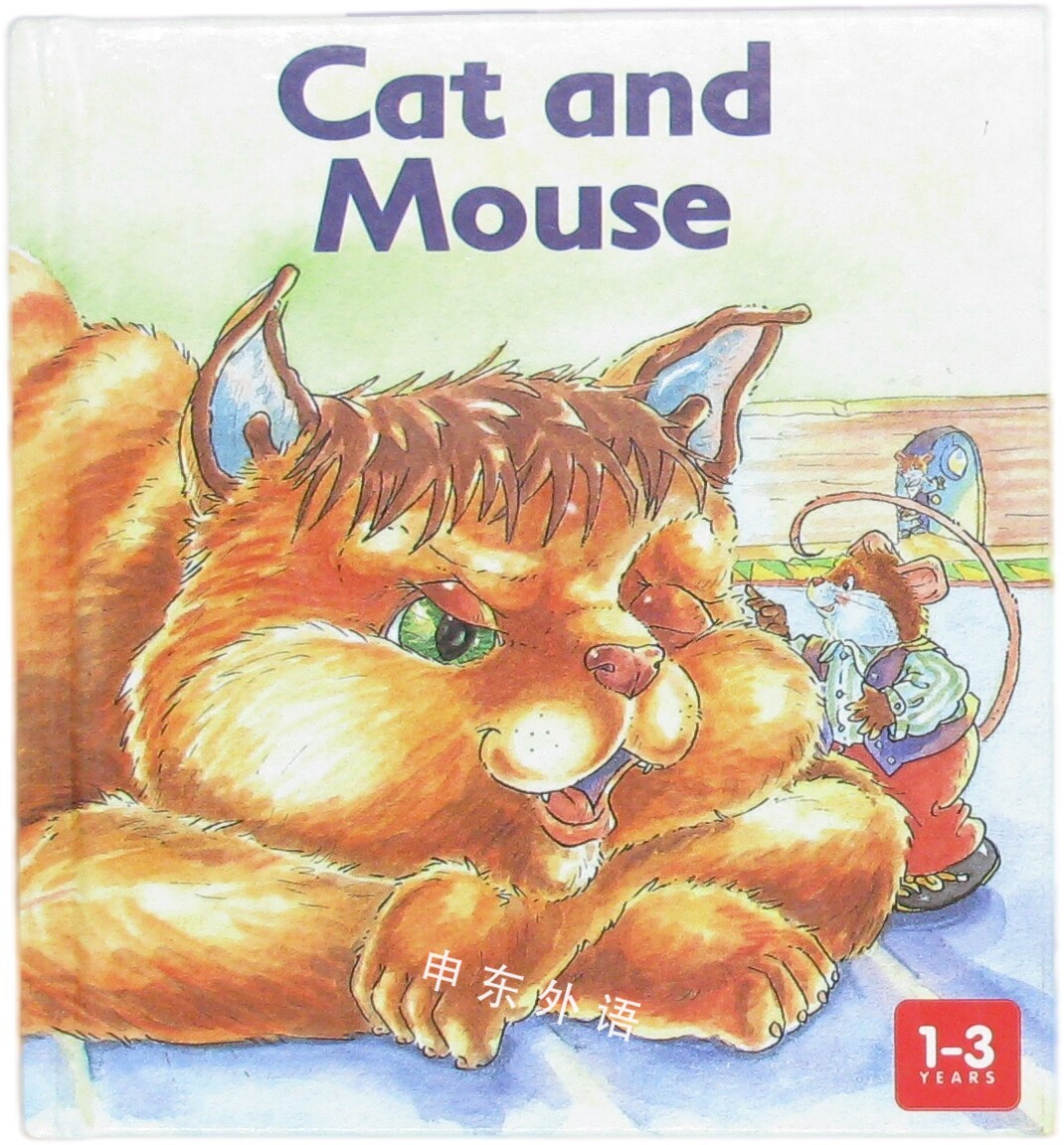 cat and mouse first story board books