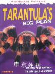 Mb Tarantulas Big Plan (Mini Beasts) Clint Twist