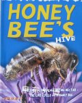 Honey Bee's Hive  Clint Twist