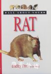 All About Your Rat Bradley Viner