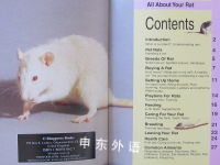 All About Your Rat