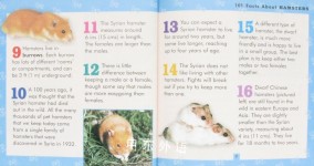 101 Facts About Hamsters 