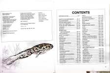 Encyclopedia of the Animal Kingdom