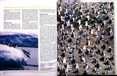Encyclopedia of the Animal Kingdom