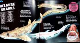 Scary Sharks and the most ferocious underwater creatures ever