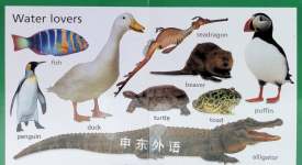 Animal