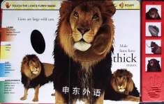 Wild Animals