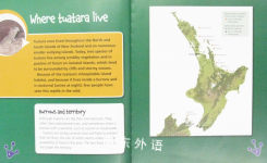 The Life Cycle of the Tuatara