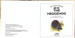 The Hedgehog