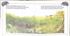 The Hedgehog