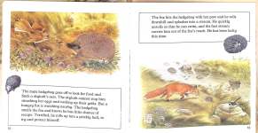 The Hedgehog