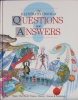 Questions and answers