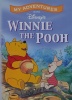 My Adventures with Disneys Winnie the Pooh