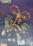 My Adventures with the Turtles