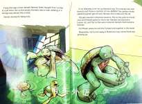 My Adventures with the Turtles