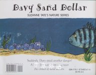 Davy Sand Dollar
