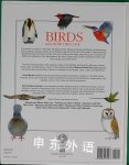 Birds and how they live