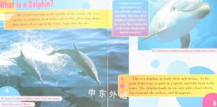 All About Dolphins Sea World Book