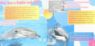 All About Dolphins Sea World Book
