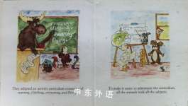 The Animal School