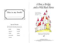 A Rose a Bridge and a Wild Black Horse Hooked on Phonics Book 29