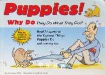 Puppies Why Do They Do What They Do