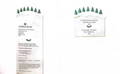The Little Crooked Christmas Tree