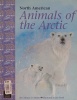 North American Animals of the Arctic 