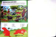 Forest Animals Sticker Book