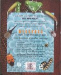 Megabugs: Natural History Museum Book of Insects
